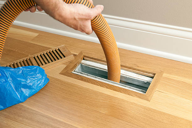 Best Professional Duct Cleaning Services  in Arroyo Seco, NM